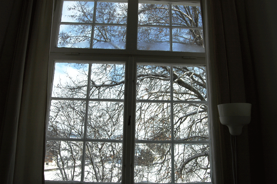Fensterimpressionen Altes Schulhaus
